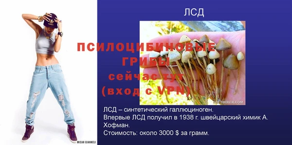 эйфоретик Алексин
