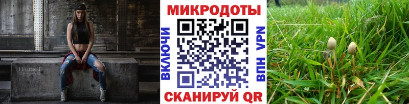 Галлюциногенные грибы Psilocybe  гидра вход  Ликино-Дулёво 